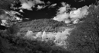 click here for a full-screen image