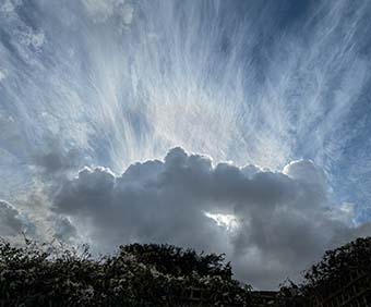 click here for a full-screen image