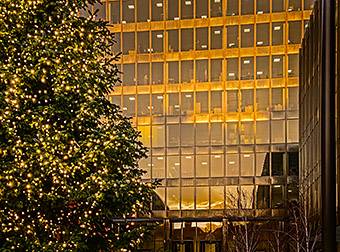 click here for a full-screen image