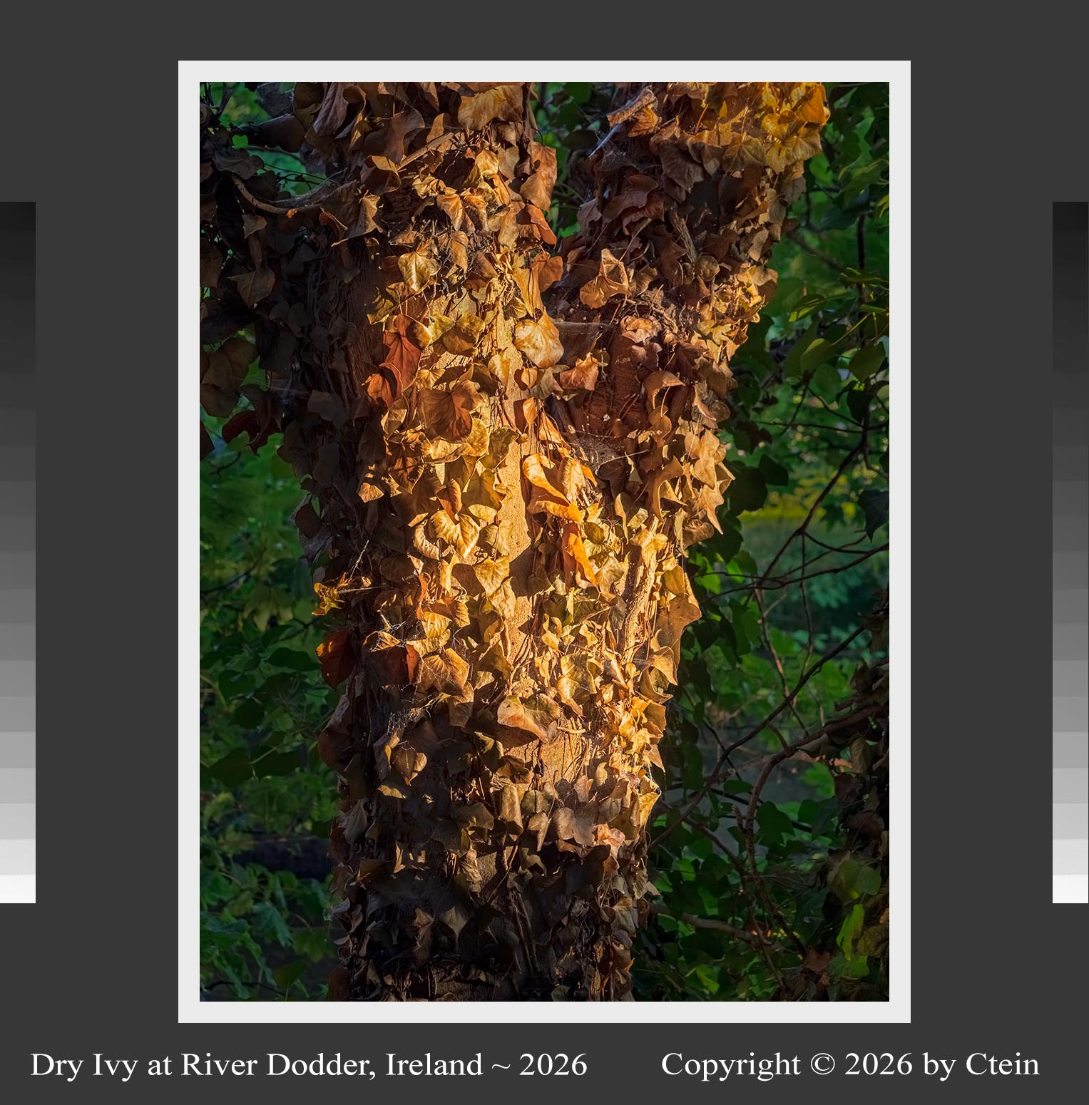 click here for information about this work