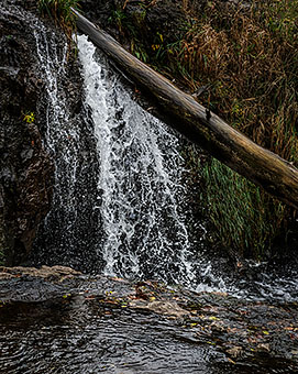 click here for a full-screen image