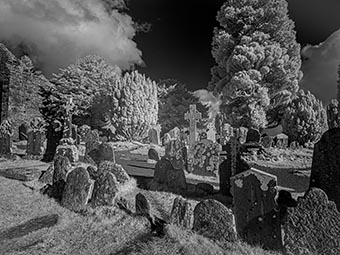 click here for a full-screen image