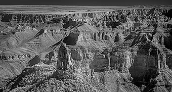 click here for a full-screen image