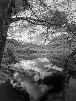 click here for a full-screen image