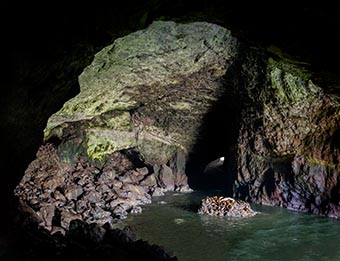 click here for a full-screen image