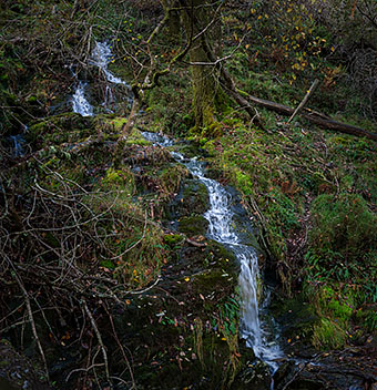 click here for a full-screen image