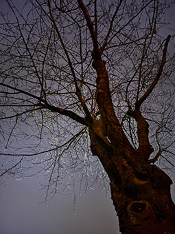 click here for a full-screen image