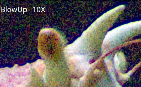 Blog55figure4c