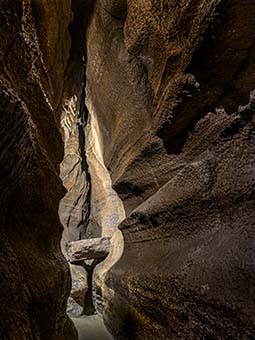 click here for a full-screen image