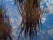 click here to see larger versions of all the photographs