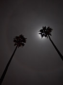click here to see larger versions of all the photographs
